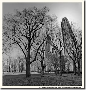 Frame_Central_Park_59west_through_trees_result_bw_1_web~0.jpg